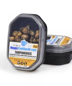 Magic Truffles